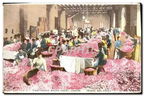 Cartes postales Cueillette Parfumerie Bruno Court Grasse Triage des roses