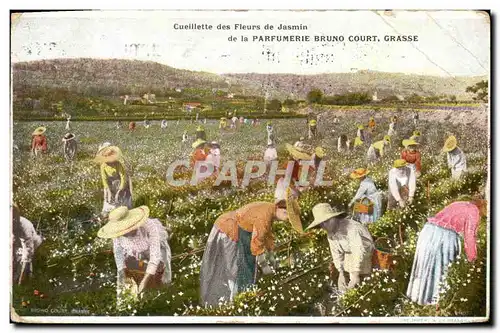 Cartes postales Cueillette du jasmin de la Parfumerie Bruno Court Grasse
