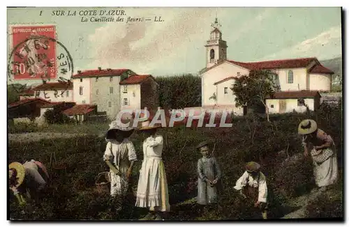 Cartes postales Cueillette des fleurs Cote d&#39Azur