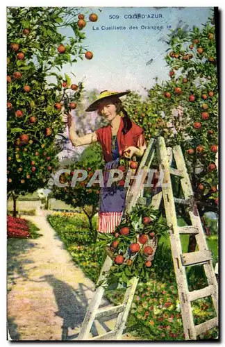 Cartes postales Cueillette des oranges Cote d&#39Azur