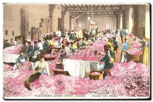 Cartes postales Cueillette Triage des roses Parfumerie Bruno Court Grasse
