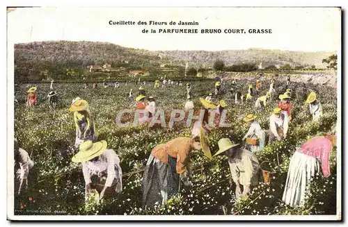 Ansichtskarte AK Cueillette des fleurs de jasmin Parfumerie Bruno Court Grasse