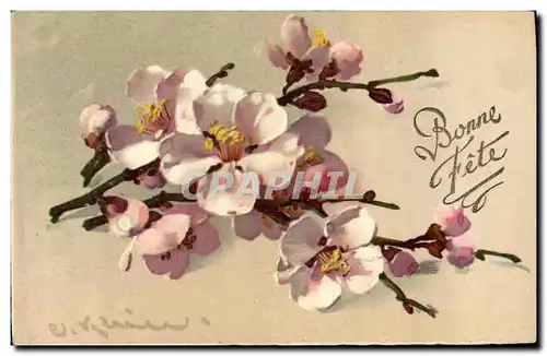 Cartes postales Fantaisie Fleurs