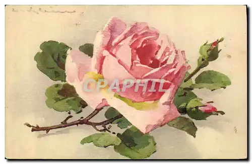 Cartes postales Fantaisie Fleurs