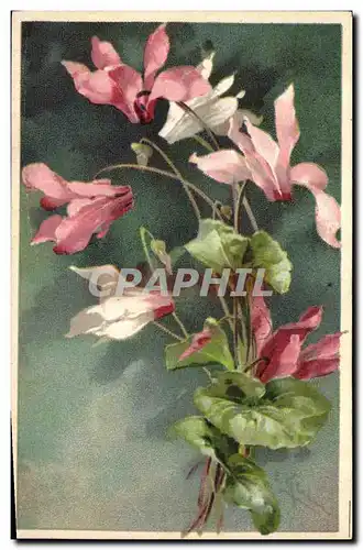 Cartes postales Fantaisie Fleurs