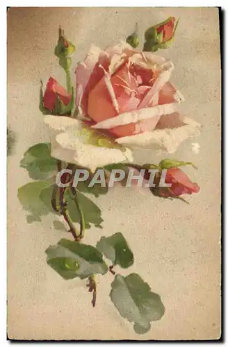 Cartes postales Fantaisie Fleurs