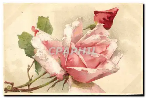 Cartes postales Fantaisie Fleurs