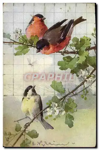 Cartes postales Fantaisie Fleurs Oiseaux