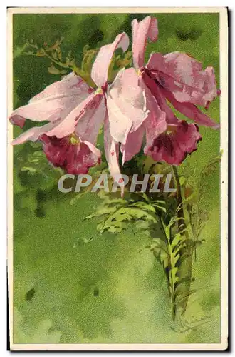 Cartes postales Fantaisie Fleurs