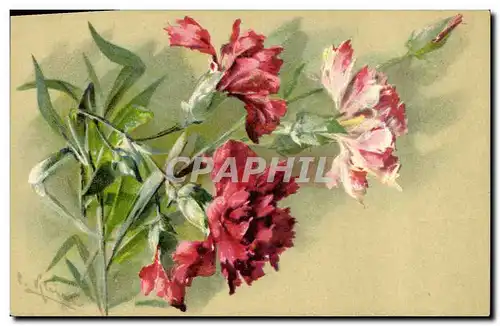 Cartes postales Fantaisie Fleurs