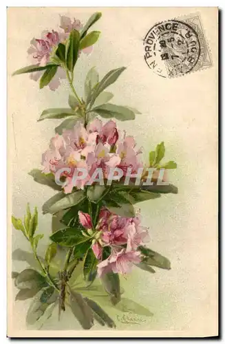 Cartes postales Fantaisie Fleurs