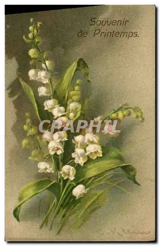 Cartes postales Fantaisie Fleurs