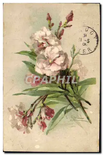 Cartes postales Fantaisie Fleurs