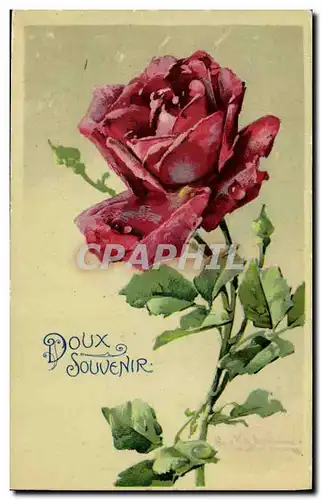 Cartes postales Fantaisie Fleurs