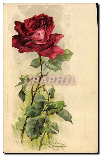 Cartes postales Fantaisie Fleurs