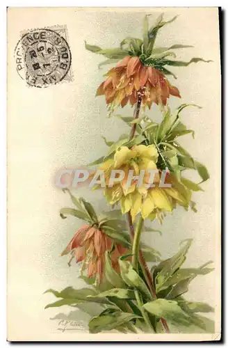 Cartes postales Fantaisie Fleurs