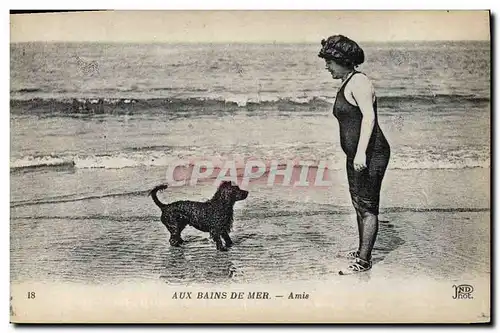 Ansichtskarte AK Chien Chiens Aux bains de mer Amis Femme