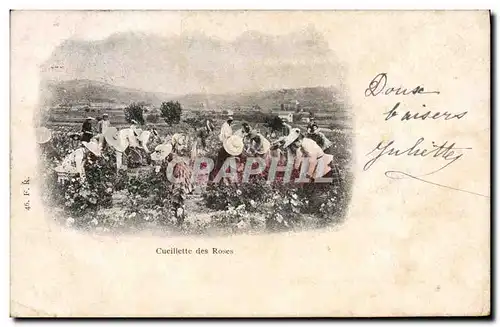 Cartes postales Cueillette des roses