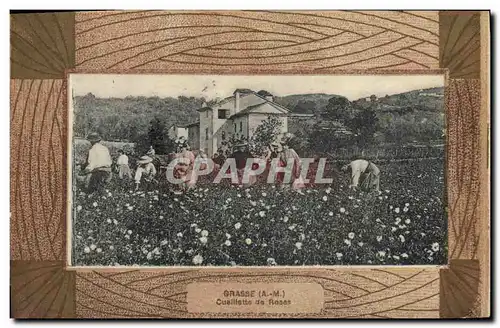 Cartes postales Grasse Cueillette de roses