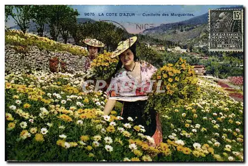 Cartes postales Cote d&#39Azur Cueillette des marguerites