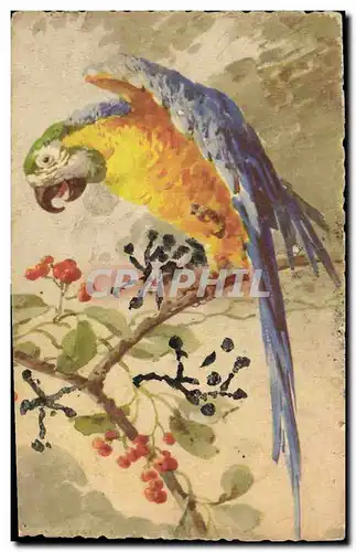 Cartes postales Fantaisie Fleurs Perroquet