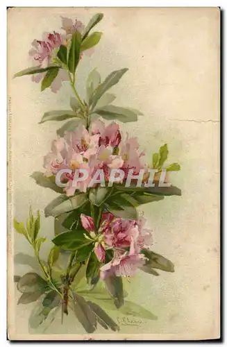 Cartes postales Fantaisie Fleurs