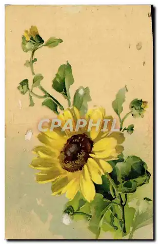 Cartes postales Fantaisie Fleurs