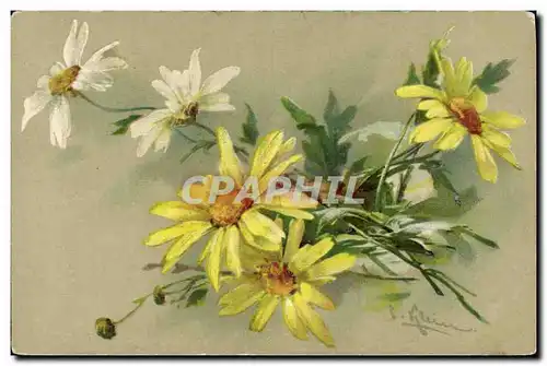 Cartes postales Fantaisie Fleurs