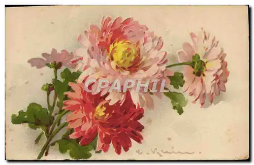 Cartes postales Fantaisie Fleurs