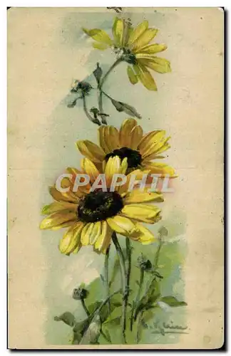 Cartes postales Fantaisie Fleurs