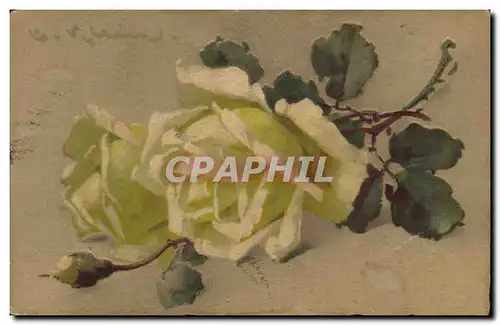 Cartes postales Fantaisie Fleurs