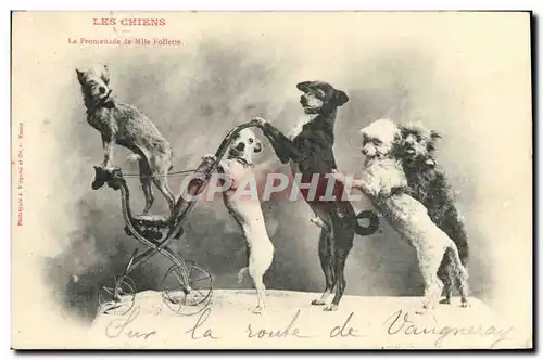 Ansichtskarte AK Chien Chiens La promenade de Mlle Follette