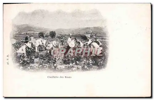 Cartes postales Cueillette des roses