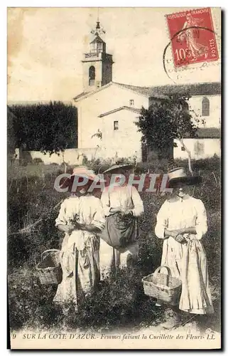 Cartes postales Cueillette Cote d&#39Azur Femmes faisant la cueillette des fleurs