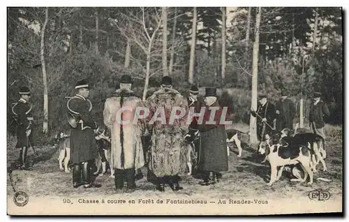 Cartes postales Chasse Chien Chiens Chasse a courre en foret de Fontainebleau Au rendez vous TOP