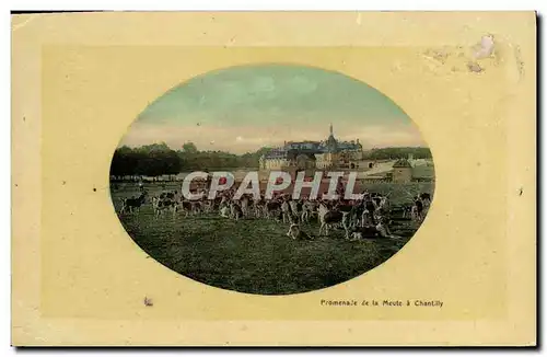 Cartes postales Chasse Chien Chiens Promenade de la meute a Chantilly