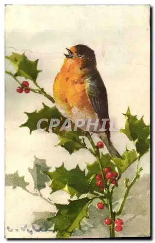 Cartes postales Fantaisie Illlustrateur Fleurs Oiseau