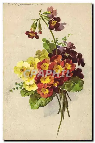 Cartes postales Fantaisie Illlustrateur Fleurs