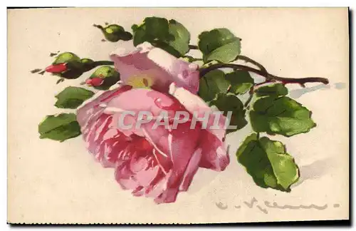 Cartes postales Fantaisie Illlustrateur Fleurs