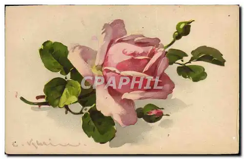 Cartes postales Fantaisie Illlustrateur Fleurs