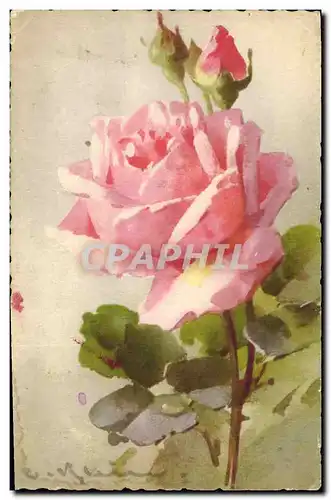 Cartes postales Fantaisie Illlustrateur Fleurs