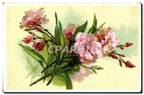 Cartes postales Fantaisie Illlustrateur Fleurs