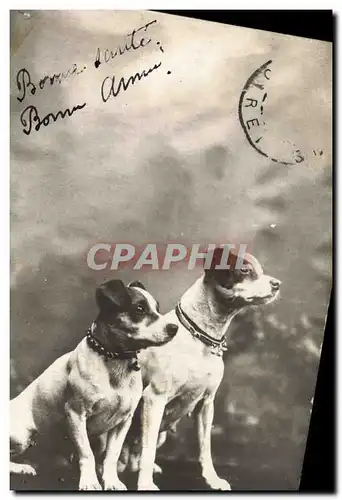 Cartes postales Chiens Chien