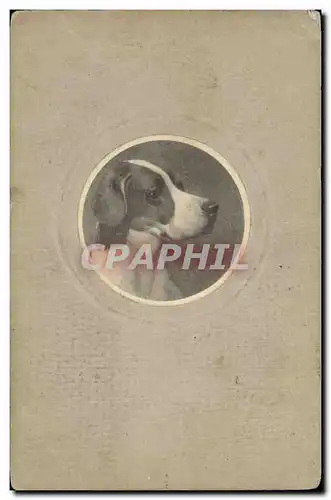 Cartes postales Chiens Chien