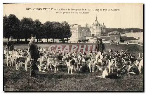 Ansichtskarte AK Chasse a courre Chantilly La meute de l&#39equipage SAR Mgr le duc de Chartres sur la pelouse de