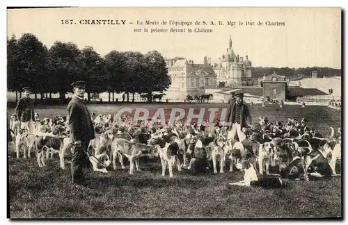 Cartes postales Chasse a courre Chantilly La meute de l&#39equipage SAR Mgr le duc de Chartres sur la pelouse de
