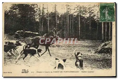 Cartes postales Chasse a courre en Foret de Fontainebleau Hallali Courant Chien Chiens