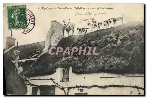Cartes postales Chasse a courre Equipage de Bonnelles Hallali sur un toit a Gambaiseuil Chien Chiens