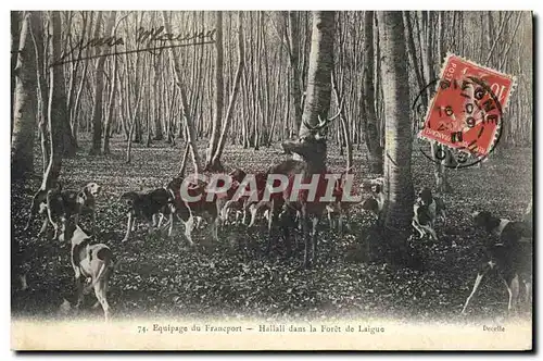 Cartes postales Chasse a courre Equipage du Francport Hallali dans la foret de Laigne