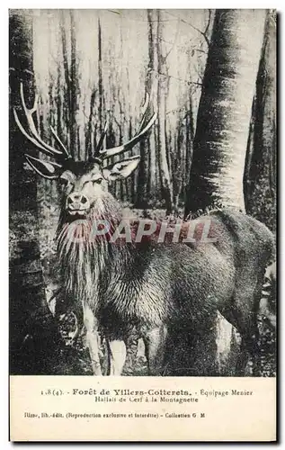 Cartes postales Chasse a courre Foret de Villers Cotterets Equipage Menier Hallali de cerf a la Montagnette